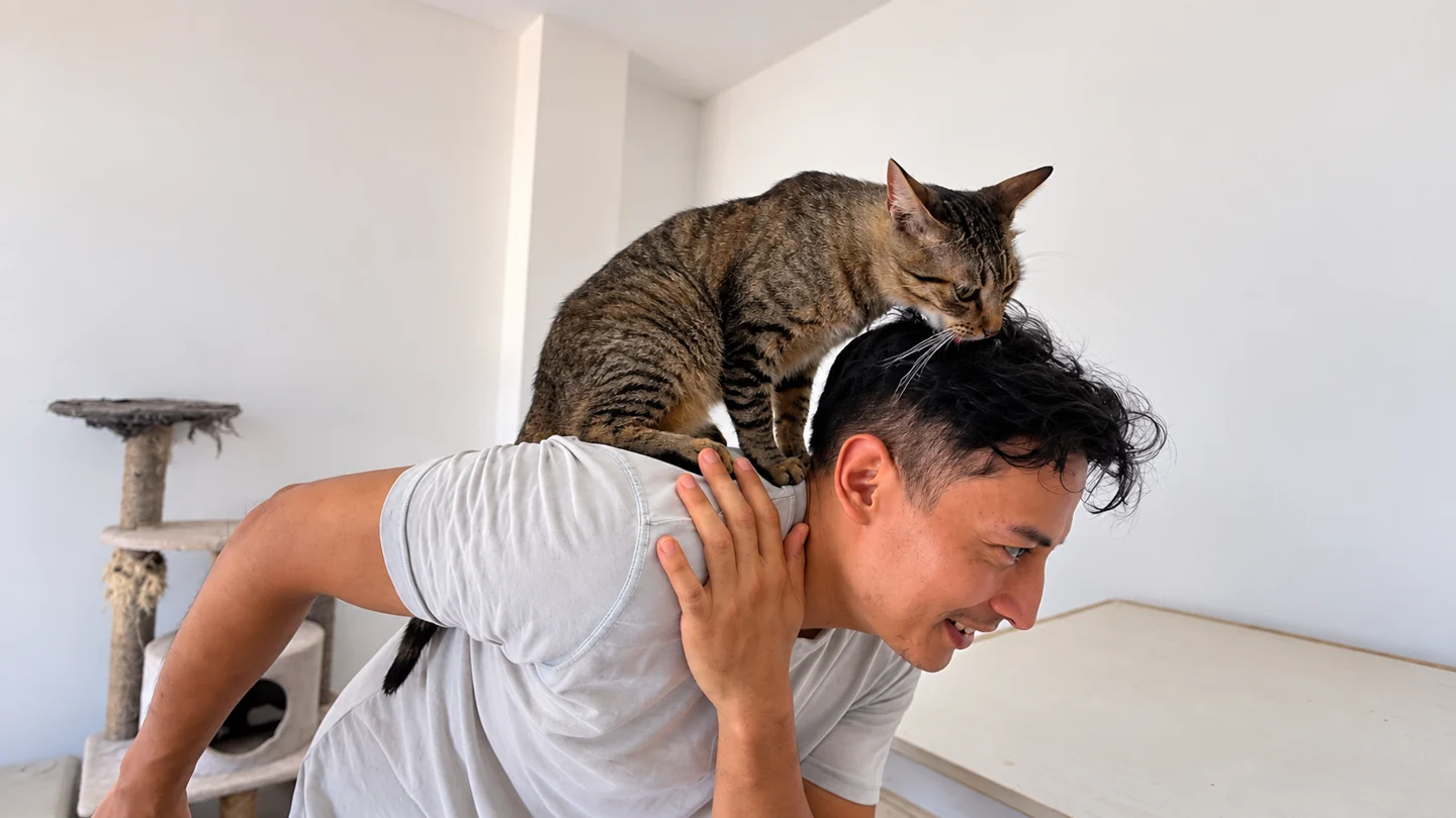 Ronald with a cat on his shoulders