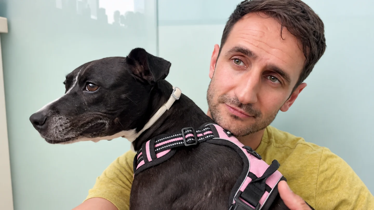 Sergio holding a dog wearing a pink harness